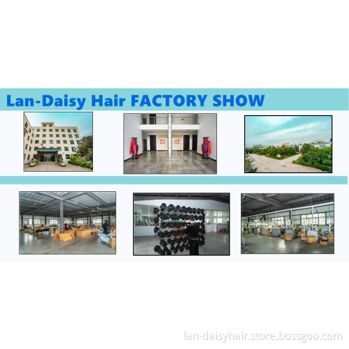 Short Curl Cuticle Aligned Machine Made Bob Wig Short Curl  Virgin  Hair Peruvian Human Hair Wigs for Black Woman